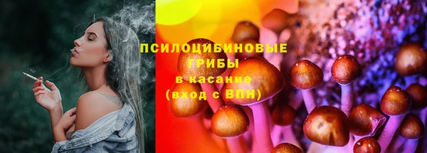 тгк Абинск