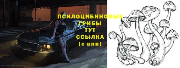тгк Абинск