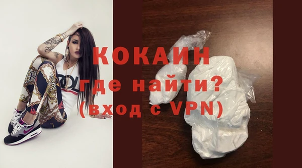 тгк Новозыбков