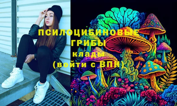 COCAINE Новодвинск
