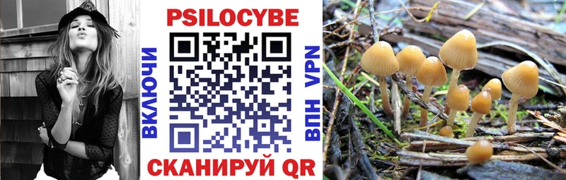 Псилоцибиновые грибы ЛСД  купить   Ковдор 